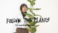 Workshop: Follow the plants